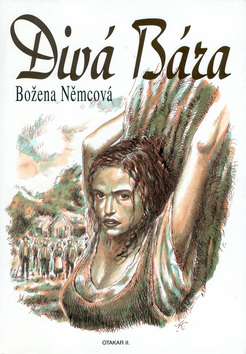 kniha-diva-bara